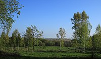 Landschaft im Naturschutzgebiet „Um den Eibsee“ (NSG C 89) bei der Euba (Chemnitz); außerdem im LSG Augustusburg-Sternmühlental