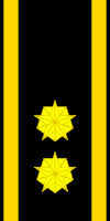 Норвежский полицейский ранг 5.svg
