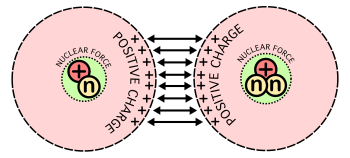 The electrostatic force between the positively charged nuclei is repulsive, but when the separation is small enough, the quantum effect will tunnel through the wall. Therefore, the prerequisite for fusion is that the two nuclei be brought close enough together for a long enough time for quantum tunneling to act. Nuclear fusion forces diagram.svg