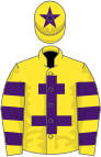 Yellow, purple cross of lorraine, hooped sleeves, star on cap