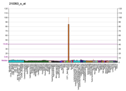 PBB GE SLC6A2 210353 s в формате fs.png