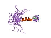 1fvn​: [ALA31, AIB32]-neuropeptid Y