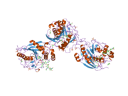 2ah9: Crystal Structure of Human M340H-Beta-1,4-Galactosyltransferase-I (M340H-B4Gal-T1) in Complex with Chitotriose