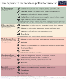 What crops are dependent on pollinators? Pollinator-dependence.png