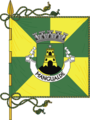 Bandeira de Mangualde