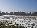 Ruhland, Kleiner Koltschen (alter Flurname), Blick vom Weg an der Stadtmühle nach Südwest; links der Kleine Koltschen, rechts Großer Koltschen (alter Flurname)