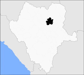Municipalité de San Pedro del Gallo