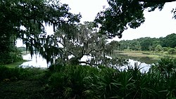 St. Catherine's Island Salt Marsh.jpg