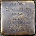 Stolperstein für Selma Freiberg (Palanterstraße 51)