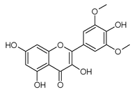 Chemical structure of syringetin