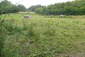 Tidbury-ringo geograph-919508-post-Graham-Horn.jpg