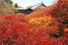 Japanischer Herbst