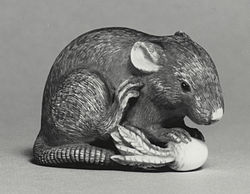 Image illustrative de l’article Lumière du rat