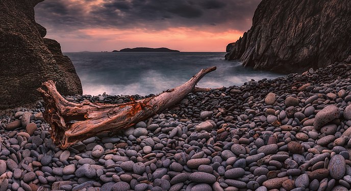 Коряга на берегу Японского моря, Приморский край. Автор — Андрей Кровлин