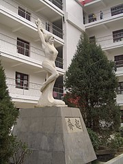 'Rise' Yingshan Vocational School