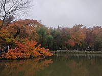 山下湖泊（攝於2021年11月下旬-賞楓）