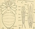 2022年6月23日 (木) 13:59時点における版のサムネイル