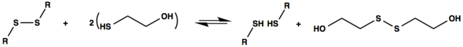 Reaktionsschema von 2-Mercaptoethanol mit der Disulfidbrücke zwischen Cysteinen eines Proteins.