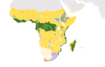 Vignette pour Écozone afrotropicale