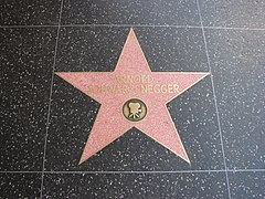 Walk Fame Star on Etoile D Arnold Schwarzenegger Sur Le Hollywood Walk Of Fame