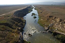 Bârlad River near Muntenii de Jos, Vaslui county.JPG