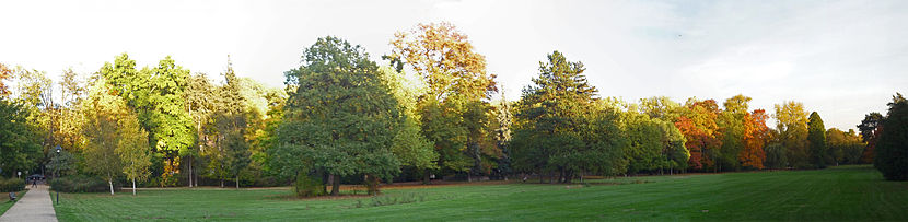 Der Kurpark im Oktober vor dem Sonnenuntergang