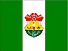 Flag of Punata Municipality