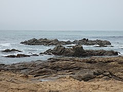 Estero Bluffs State Park