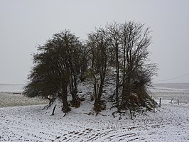 Tombe de l'Empereur