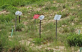 Markierung bedrohter Arten in rot