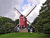 Windmolen De nieuwe Papegaai