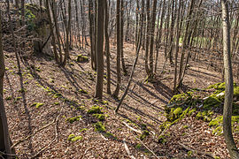 Bild 9: Blick von Nordteil des Burgfelsens auf die Einmuldung sowie den Ringgraben und Ringwall (März 2015)