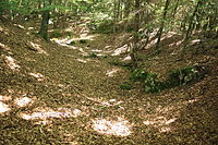 Bild 3: Blick in den Ringgraben, links der Burghügel der Burgstelle (August 2010)