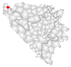 Location of Bužim within Bosnia and Herzegovina.