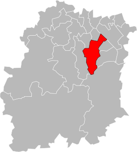 Canton de Ris-Orangis