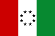Vlag van La Salina