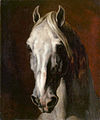 Tête de cheval blanc (1815), Géricault.