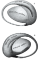 Twee aanzichten van een model van het corpus striatum (rechterhersenhelft): A, lateraal aanzicht; B, mediaal aanzicht.