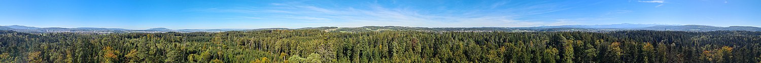 360° Panorama vom Hardwaldturm