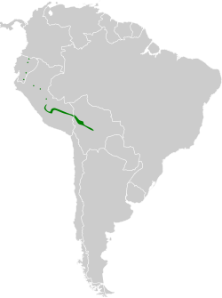 Distribución geográfica del titirijí gorgirrufo.