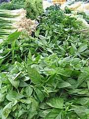 Herbs: basil