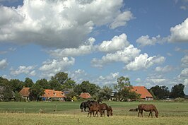 Zicht op Huins