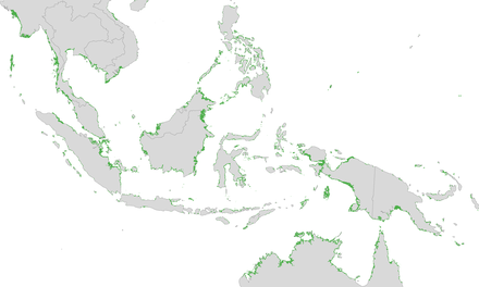 Location and relative density of mangroves in South-east Asia and Australasia - based on Landsat satellite images, 2010 Indonesia Mangrove Distribution.png