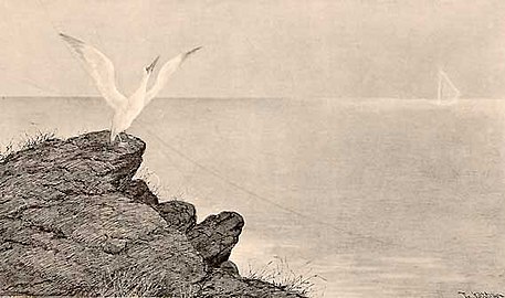 Fra Lofoten by Theodor Kittelsen (1890)