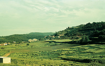 Moià (Bages), 9 de juny de 1980