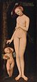 Venus und Cupid, 1531, Öl auf Leinwand, 176 × 80 cm, Königliche Museen der Schönen Künste, Brüssel