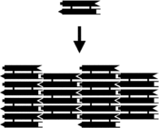 Acoblament d'una matriu DX. A l'esquerra, es visualitza un diagrama esquemàtic. Cada barra representa un domini d'ADN de doble hèlix; les puntes dels extrems representen extrems d'unió complementaris. La molècula DX que hi ha a la part superior es combinarà amb la matriu bidimensional d'ADN situada a la part inferior de la imatge. A la dreta es mostra una imatge de microscopi de forces atòmiques de la matriu acoblada. Les rajoles individuals de DX són clarament visibles en l'estructura acoblada. La imatge comprèn 150nm d'un extrem a l'altre.