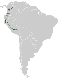 Distribución geográfica del piojto coliblanco.