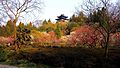 The annual plum blossom festival is located on Plum Blossom Hill