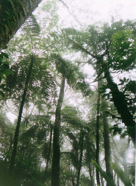 Indahnya Taman Nasional Gunung Ciremai